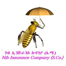 Nib Insurance Company (S.C.)